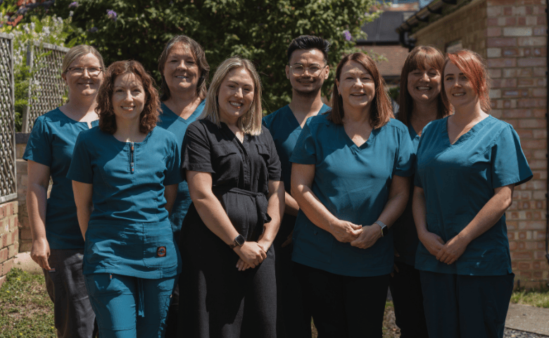 Meet the Team